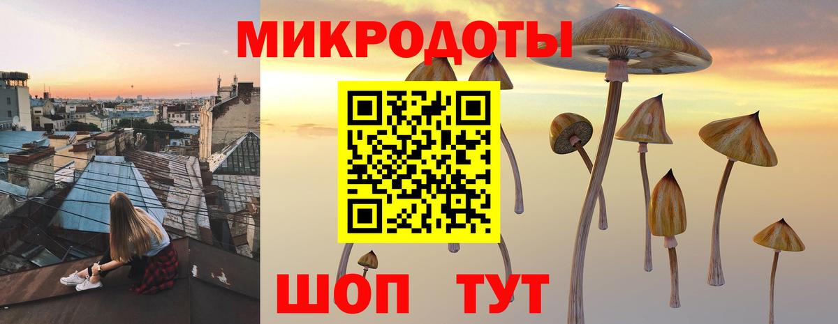 Галлюциногенные грибы ЛСД Коммунар